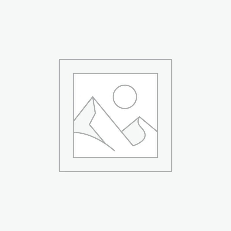 Tượng Phật Di Lặc Cưỡi Hạc