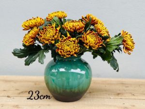 Vò tròn hỏa biến